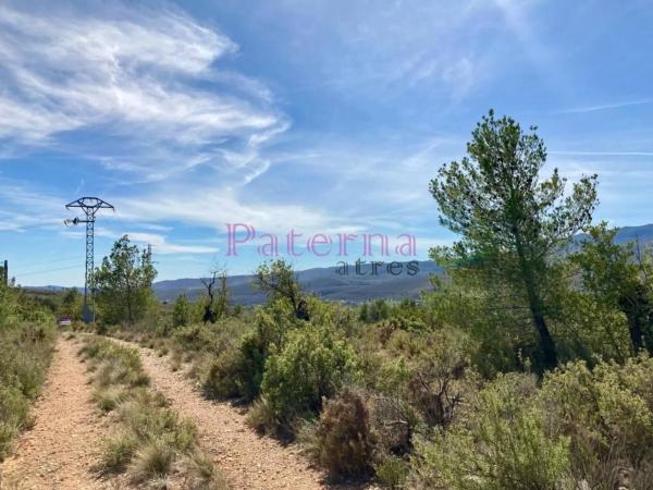 Terreno en plaza Numero 01, 552