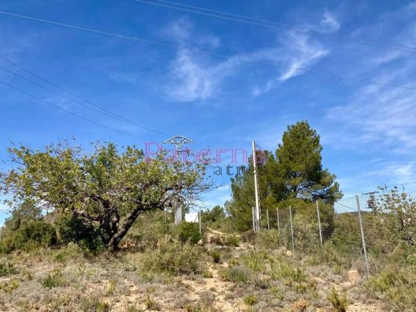 Terreno en plaza Numero 01, 552