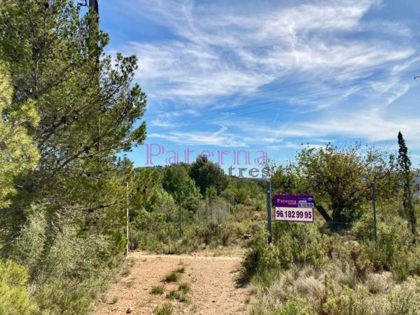 Terreno en plaza Numero 01, 552