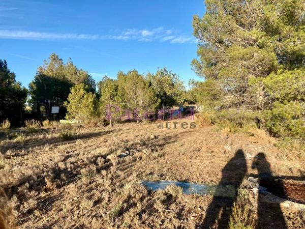 Terreno en plaza Numero 01, 552