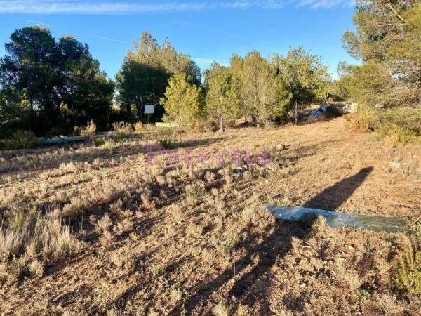 Terreno en plaza Numero 01, 552