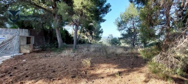 Terreno en Urbanizacion el Bosque 3, 109