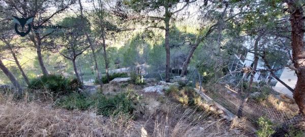 Terreno en Urbanizacion el Bosque 3, 109