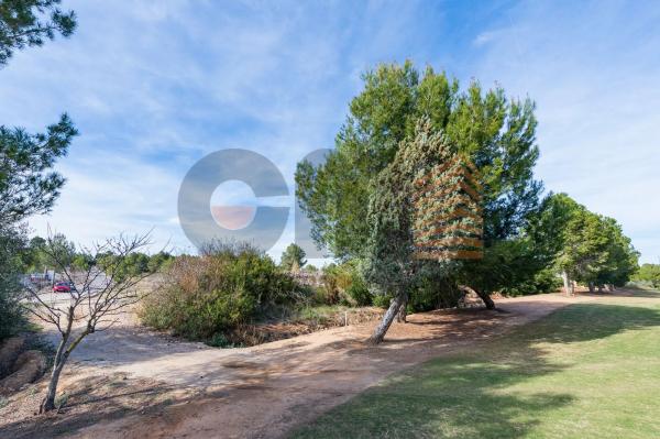 Terreno en Urbanización el Bosque s/n