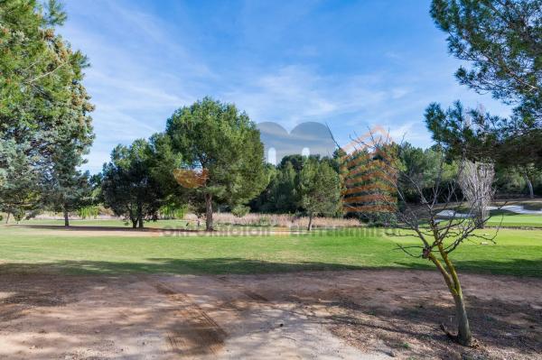 Terreno en Urbanización el Bosque s/n