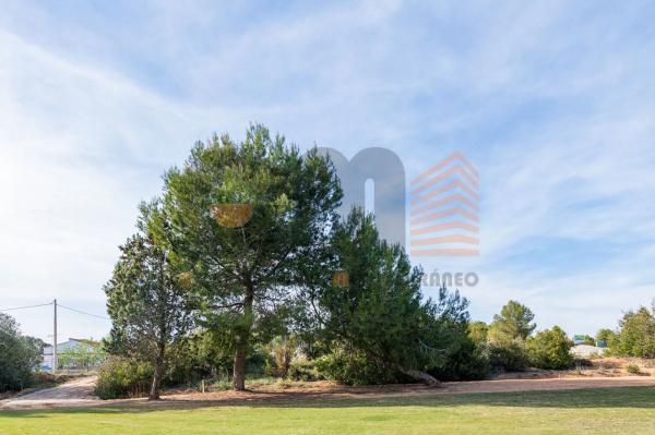 Terreno en Urbanización el Bosque s/n