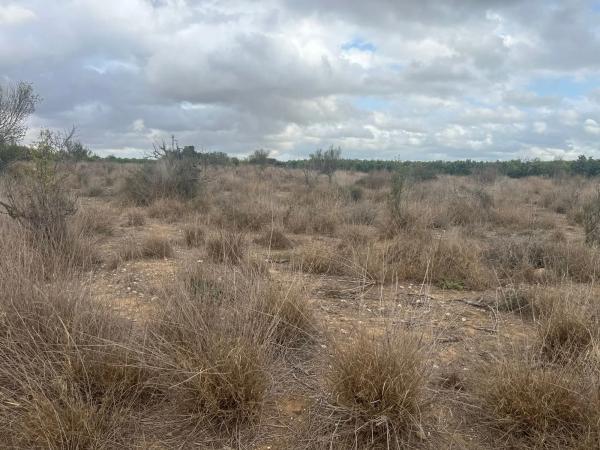 Terreno en Fc5m+pjv Urb. Cumbres Calicanto s/n