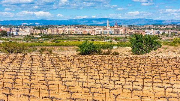 Terreno en Urbanizacion Cañada Fria