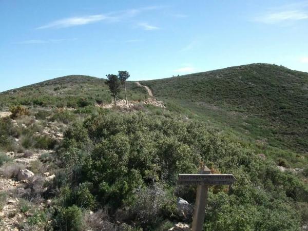 Terreno en Vía, 206