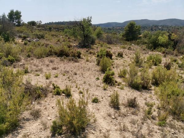 Terreno en Unnamed Road, km 1