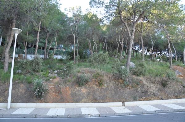 Terreno en Urbanización Bosque U14, 298