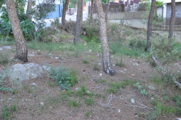 Terreno en Urbanización Bosque U14, 298