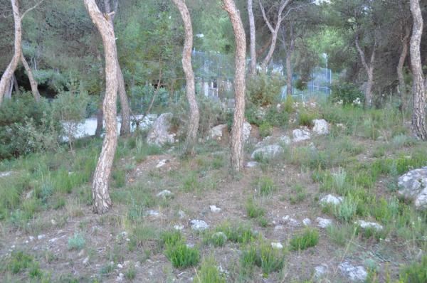 Terreno en Urbanización Bosque U14, 298