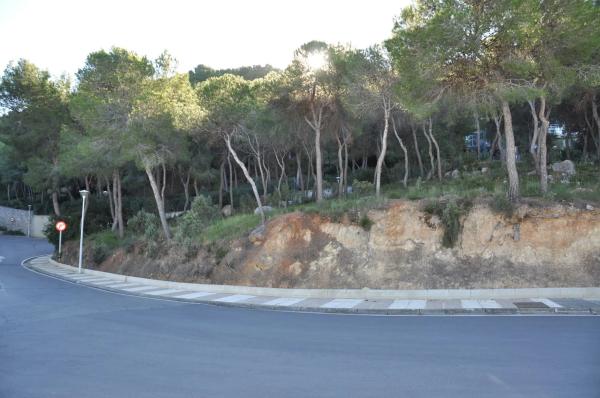Terreno en Urbanización Bosque U14, 298