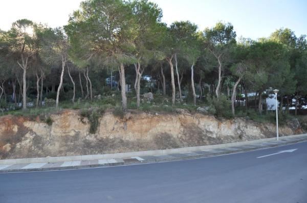 Terreno en Urbanización Bosque U14, 298