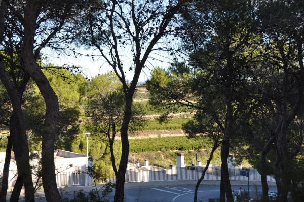 Terreno en Urbanización Bosque U14, 298