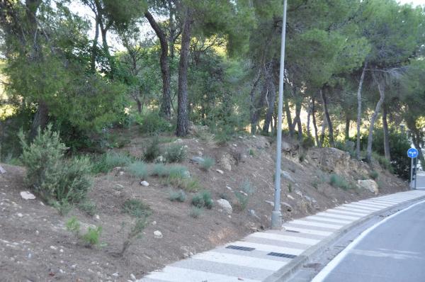 Terreno en Urbanización Bosque U14, 298