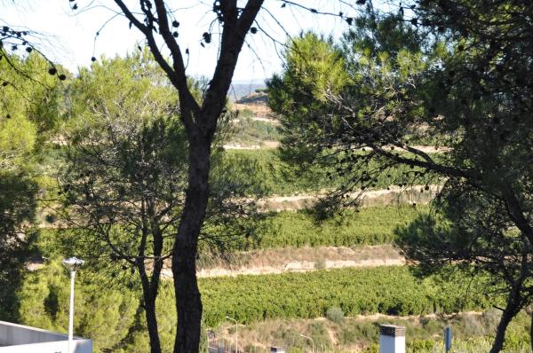 Terreno en Urbanización Bosque U14, 298
