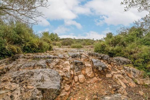 Terreno en Polígon 30