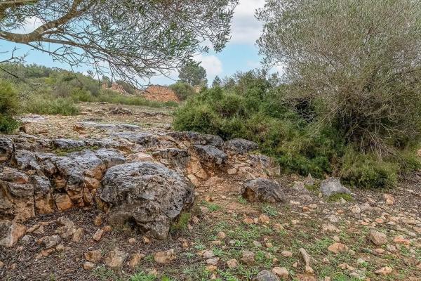 Terreno en Polígon 30