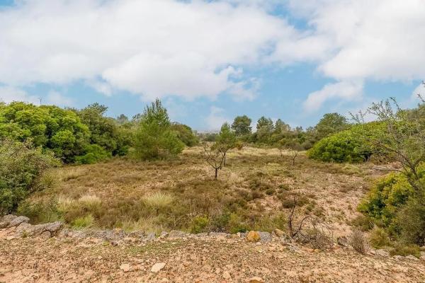 Terreno en Polígon 30