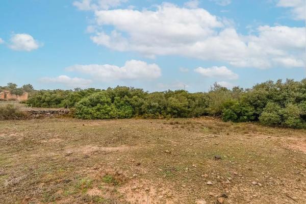 Terreno en Polígon 30