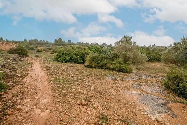 Terreno en Polígon 30