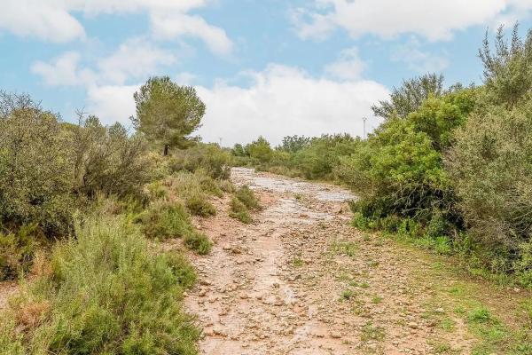 Terreno en Polígon 30