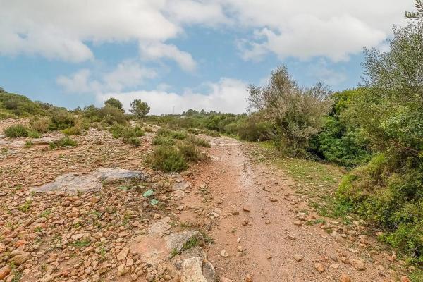 Terreno en Polígon 30