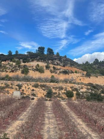 Terreno en Poligono 3, km 8