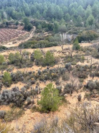 Terreno en Poligono 3, km 8