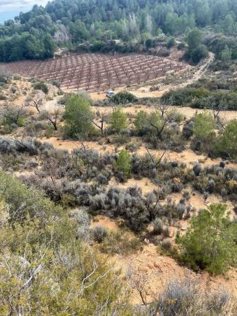 Terreno en Poligono 3, km 8