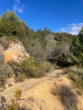 Terreno en Poligono 3, km 8