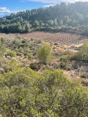 Terreno en Poligono 3, km 8