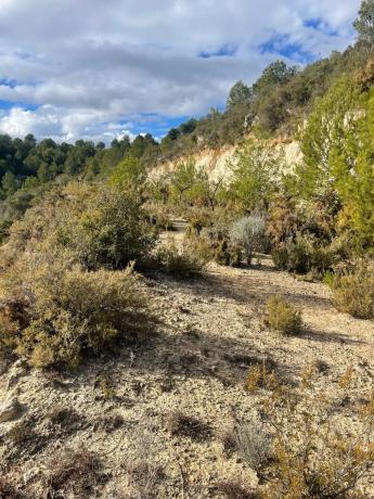 Terreno en Poligono 3, km 8