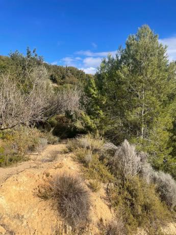 Terreno en Poligono 3, km 8