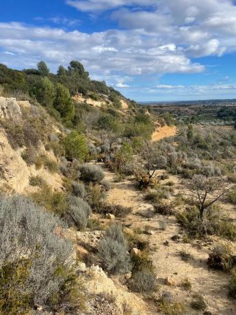 Terreno en Poligono 3, km 8