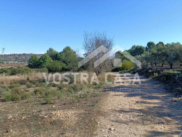 Terreno en Urbanización el Rellano 1