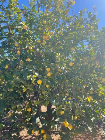 Terreno en Santo Domingo, 24