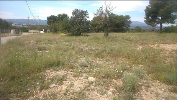 Terreno en plaza Numero 17, 550