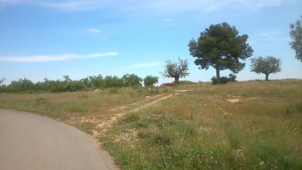 Terreno en plaza Numero 17, 550