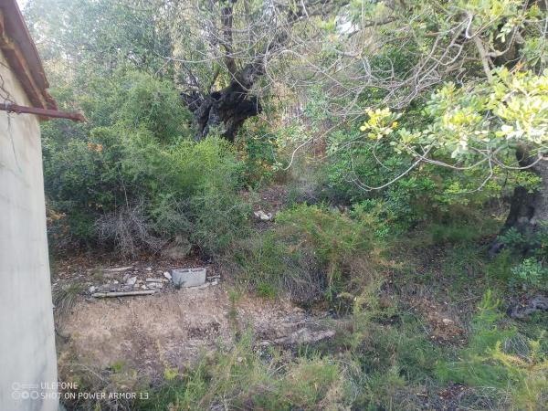 Terreno en Polígono 36 Parcela 305 Pellicera. Chiva 46370 s/n