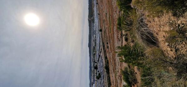 Terreno en calle Dani Pedrosa, 174