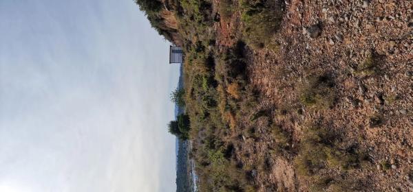 Terreno en calle Dani Pedrosa, 174