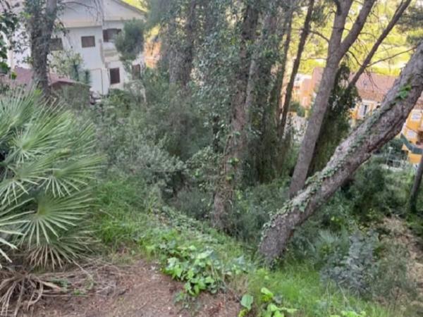 Terreno en El Bosque