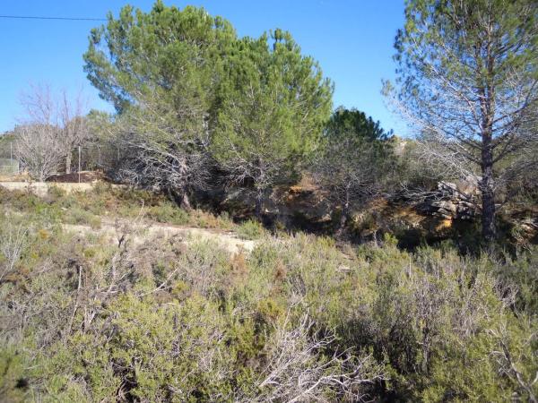 Terreno en pasaje Paraje de Ferrajón s/n