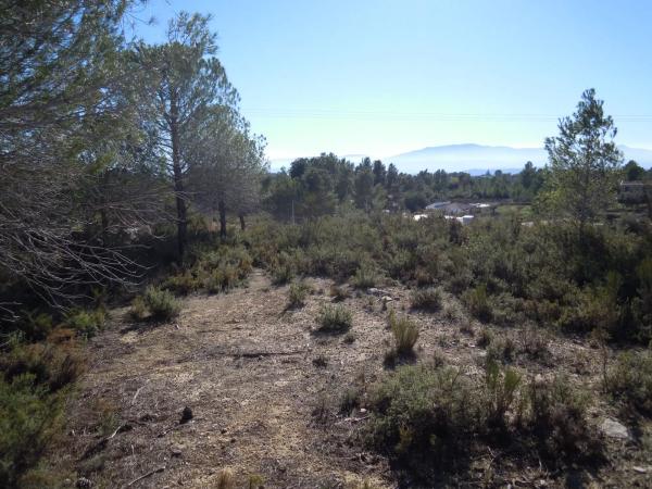 Terreno en pasaje Paraje de Ferrajón s/n