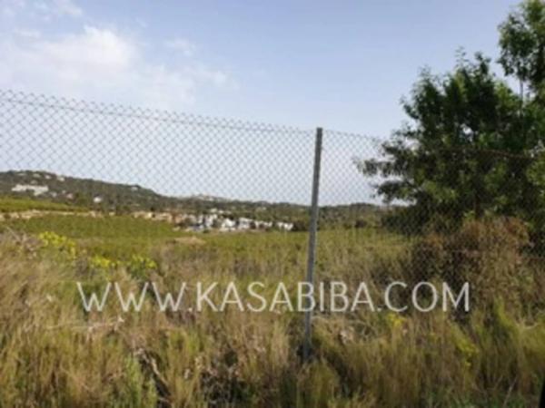 Terreno en Colonia Muela los Mangas