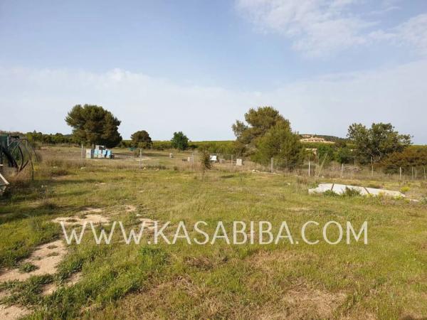 Terreno en Colonia Muela los Mangas