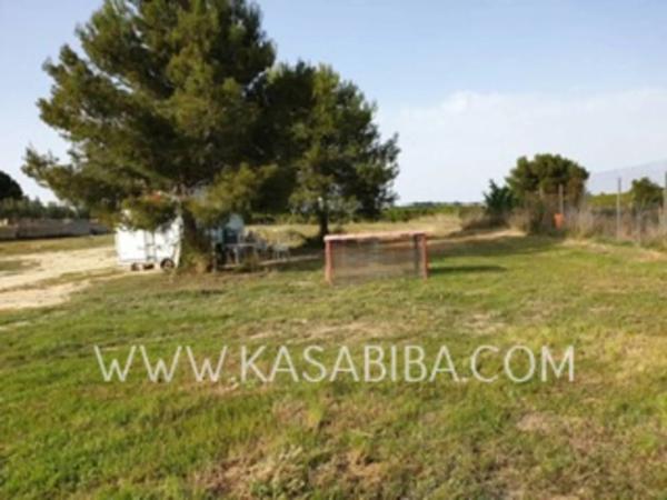 Terreno en Colonia Muela los Mangas